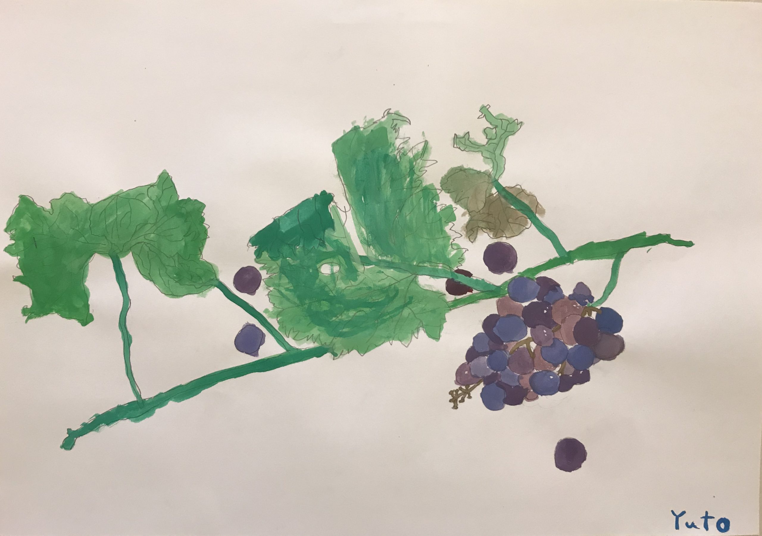 ぶどうを観察して描こう！ - こどもアトリエこぺん